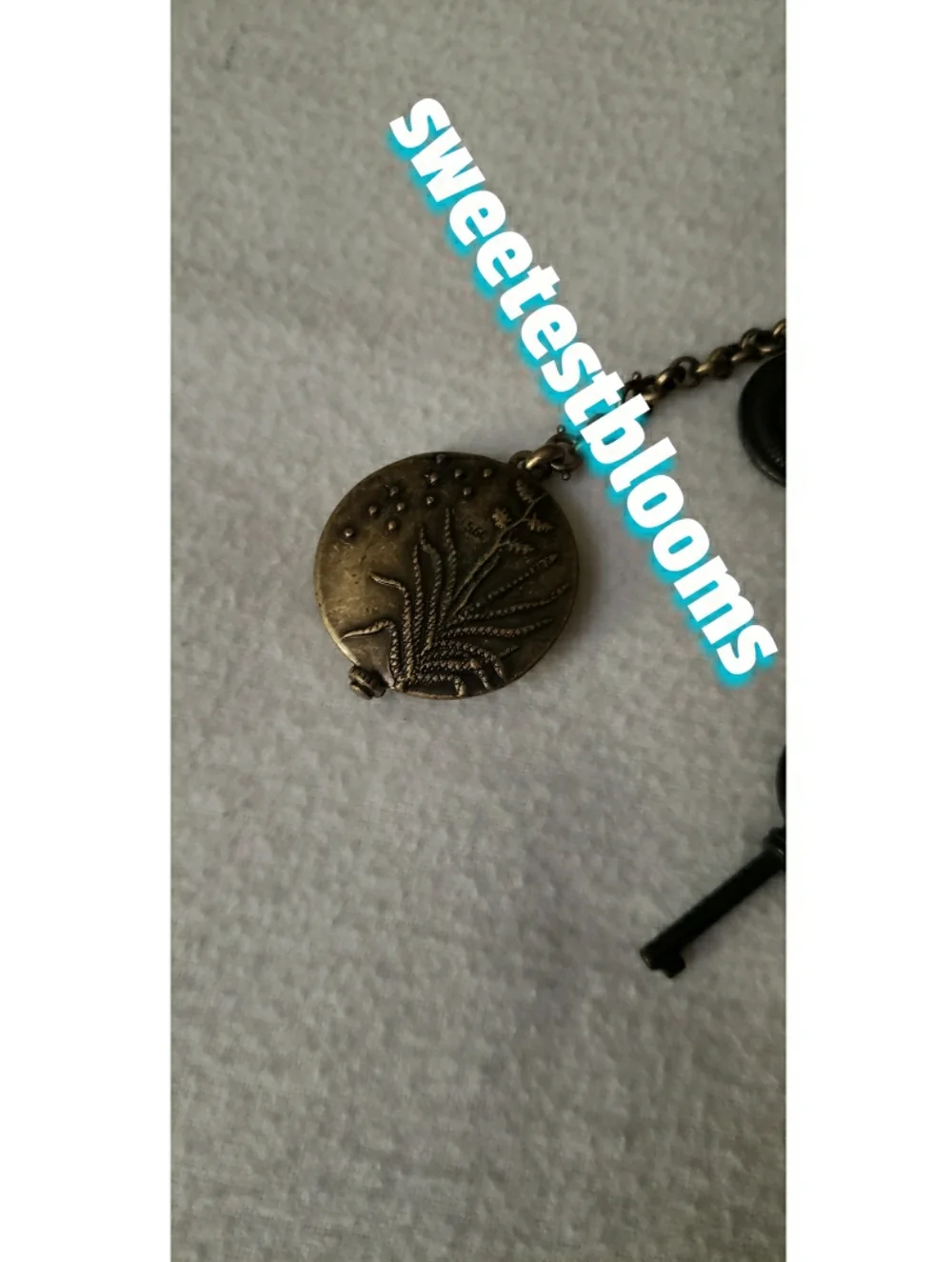 ASO Victoria Sutherland Twilight Lucky Brand Charms RARE! - Picture 6 of 11